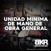 1 Hora de Mano de Obra General